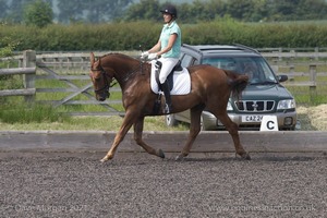 ISIS Dressage Challenge 2008